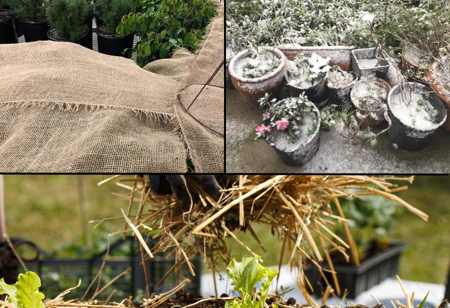 Container insulation methods